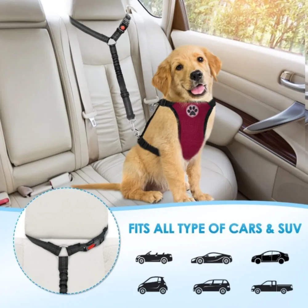 2-in-1 Dog Seatbelt | Black