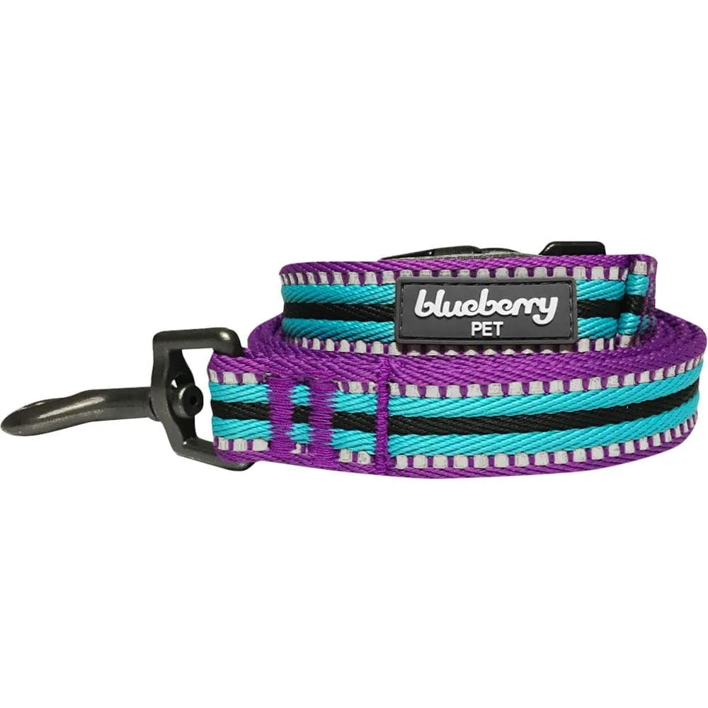 3M Reflective Dog Leash with Neoprene Padded Handle in Multi-colored Stripes