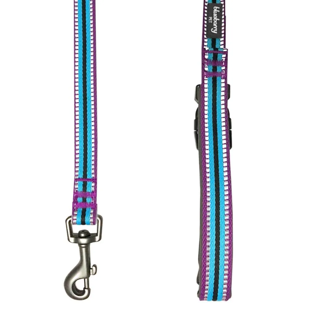 3M Reflective Dog Leash with Neoprene Padded Handle in Multi-colored Stripes