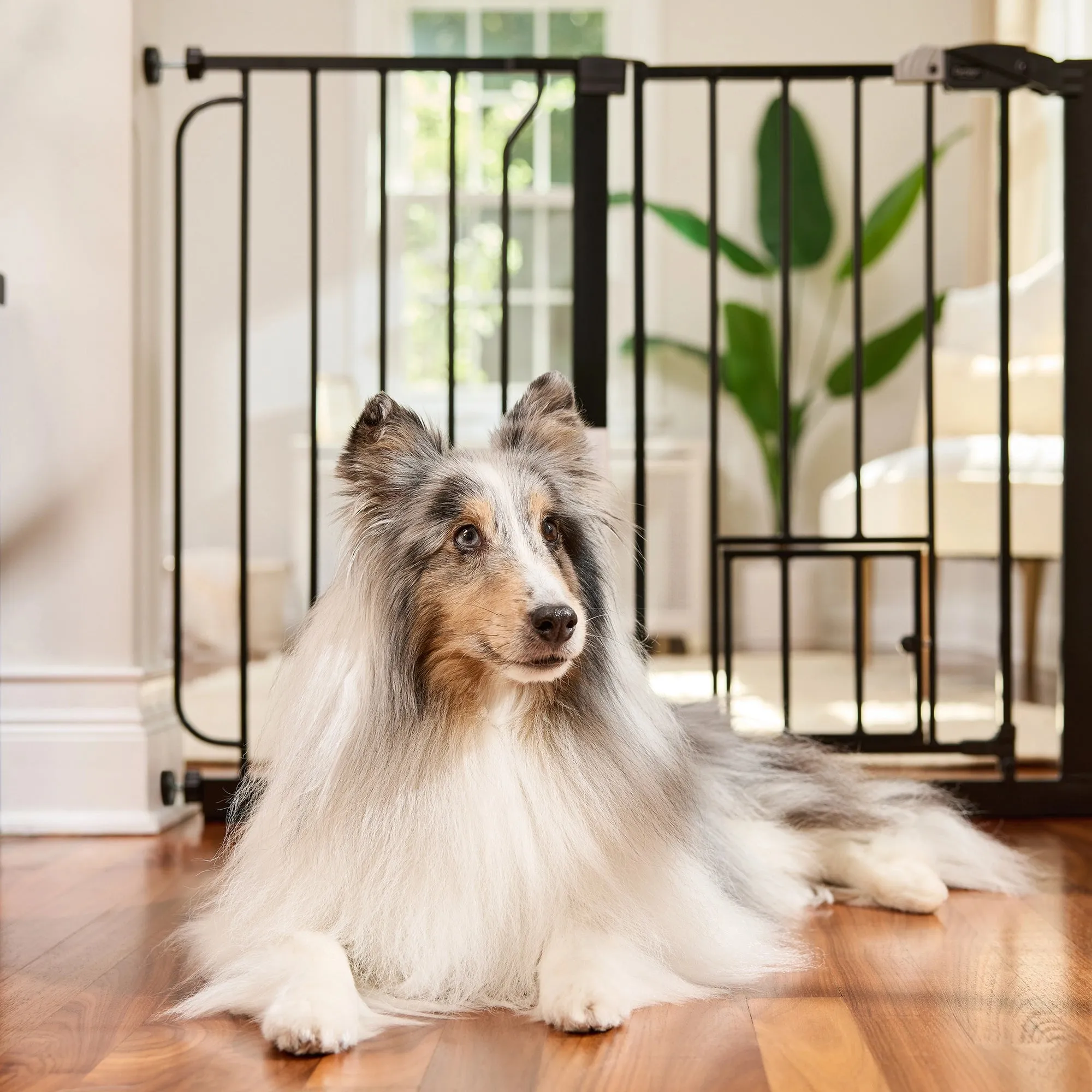 51" Extra Wide Walk-Thru Pet Gate with Lift Handle