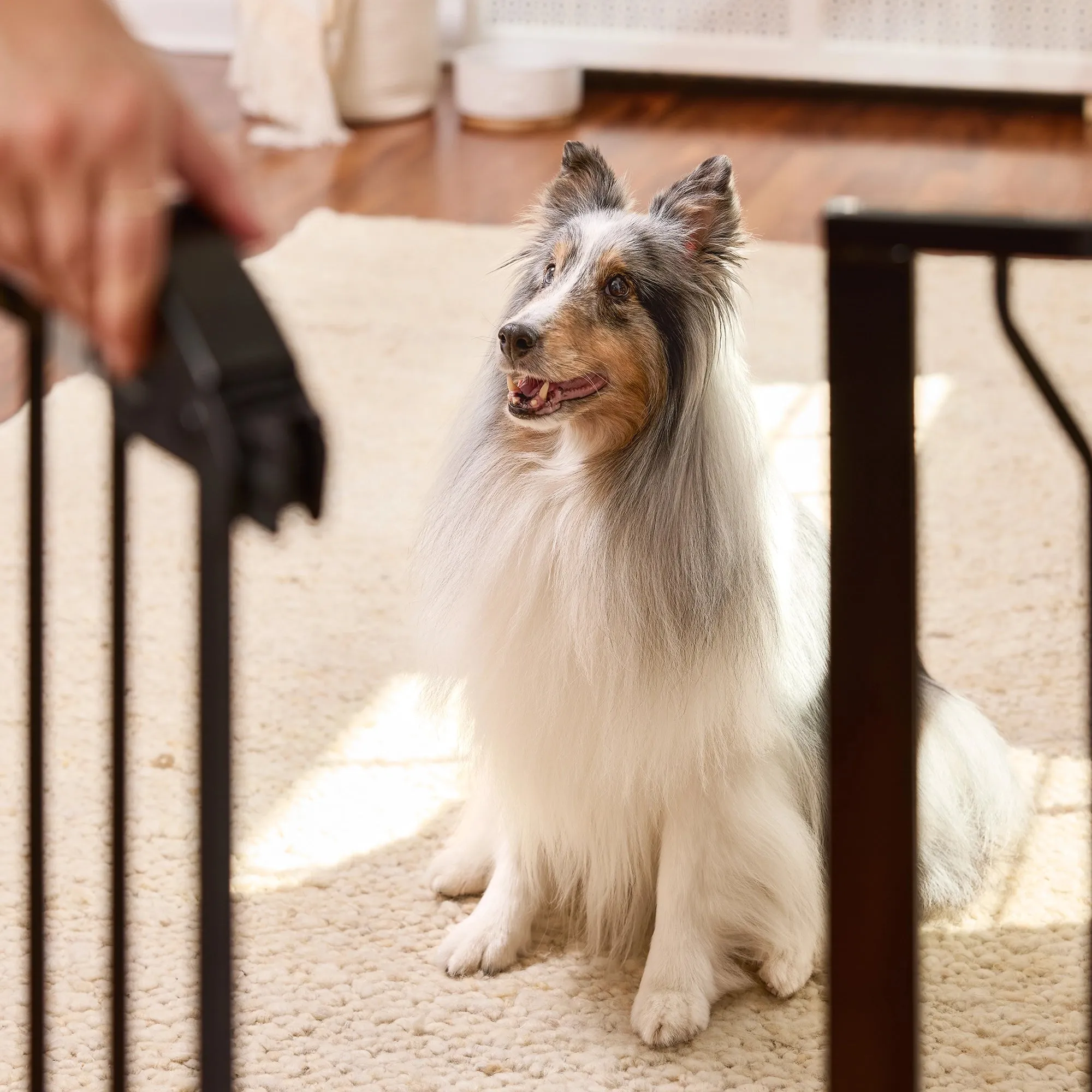 51" Extra Wide Walk-Thru Pet Gate with Lift Handle