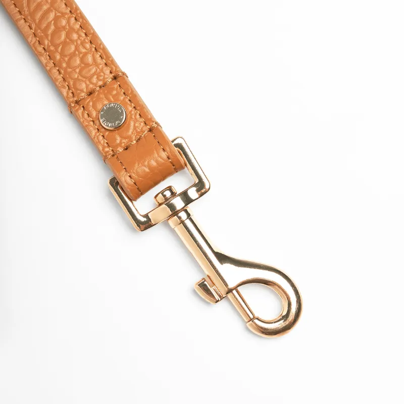 Amber Leather Dog Leash