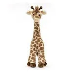 Dara Giraffe