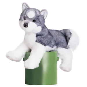 Douglas Sasha Husky 16"