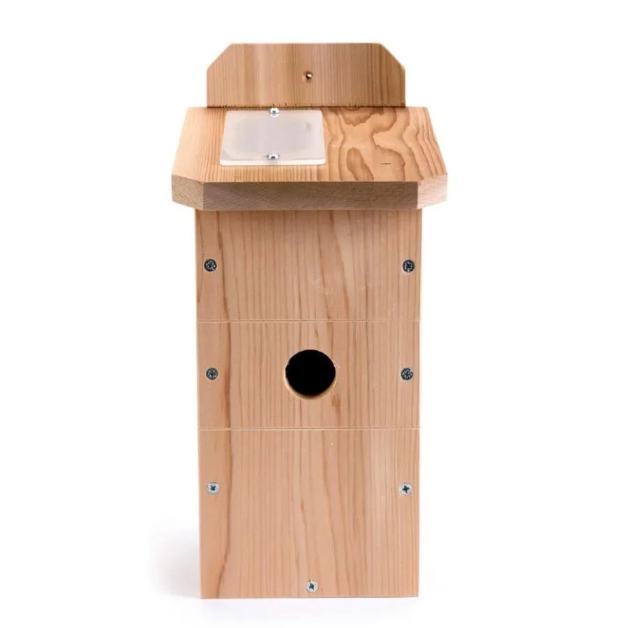 Flat Roof Bird Box