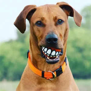 Funny Smile Rubber Pet Chew Toys