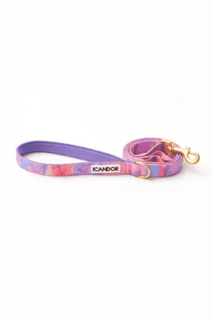 Gentle 2-Handle Dog Leash - Milky Way