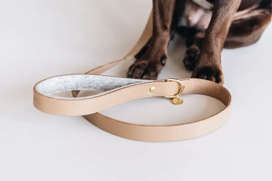 Hitch, Short Leather Dog Leash