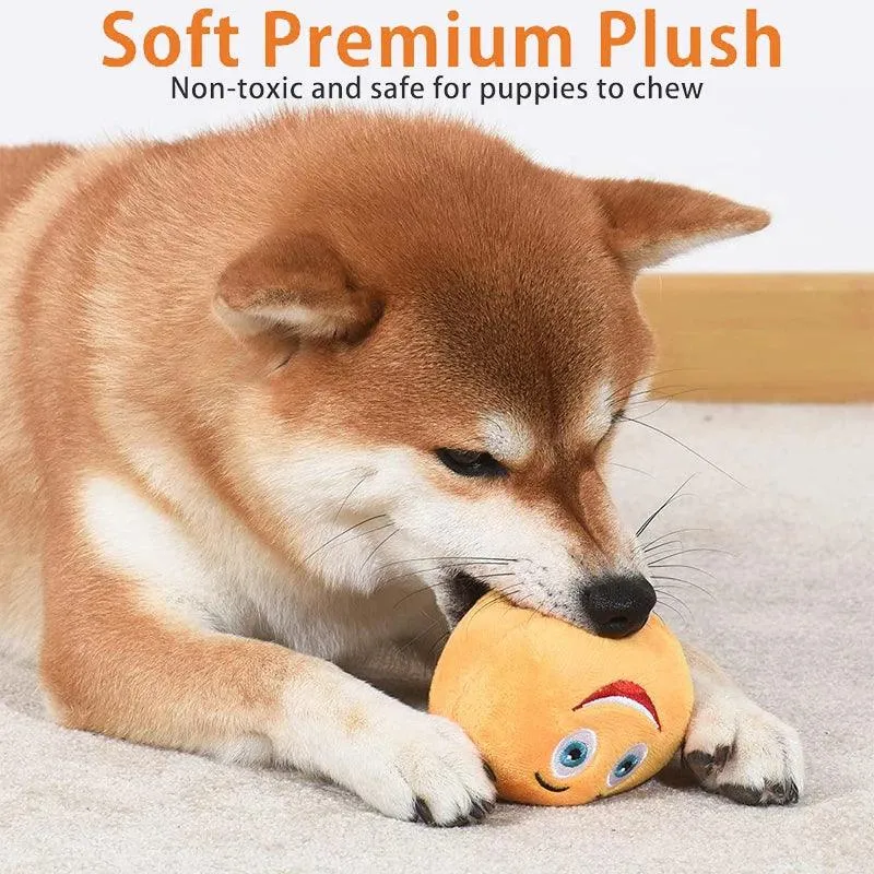 Interactive Squeaker Ball Fetch Chew Dog Toy