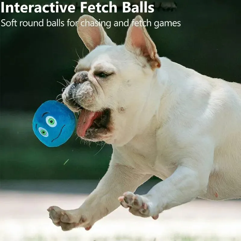 Interactive Squeaker Ball Fetch Chew Dog Toy