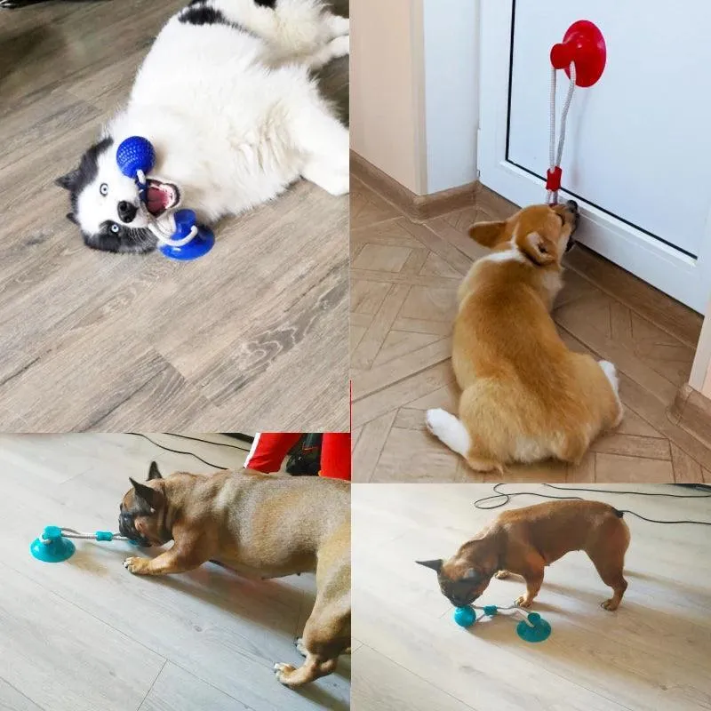 Interactive Suction Cup Dog Toy with TPR Ball