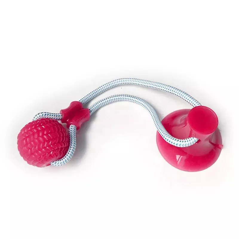 Interactive Suction Cup Dog Toy with TPR Ball