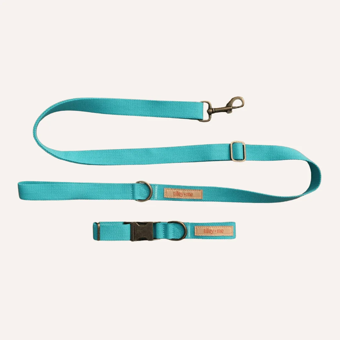 Malibu Sunset Sustainable Hemp Cotton Adjustable Dog Leash