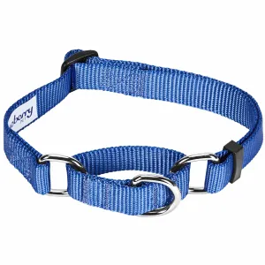 Martingale Safety Training Dog Collar, Blue