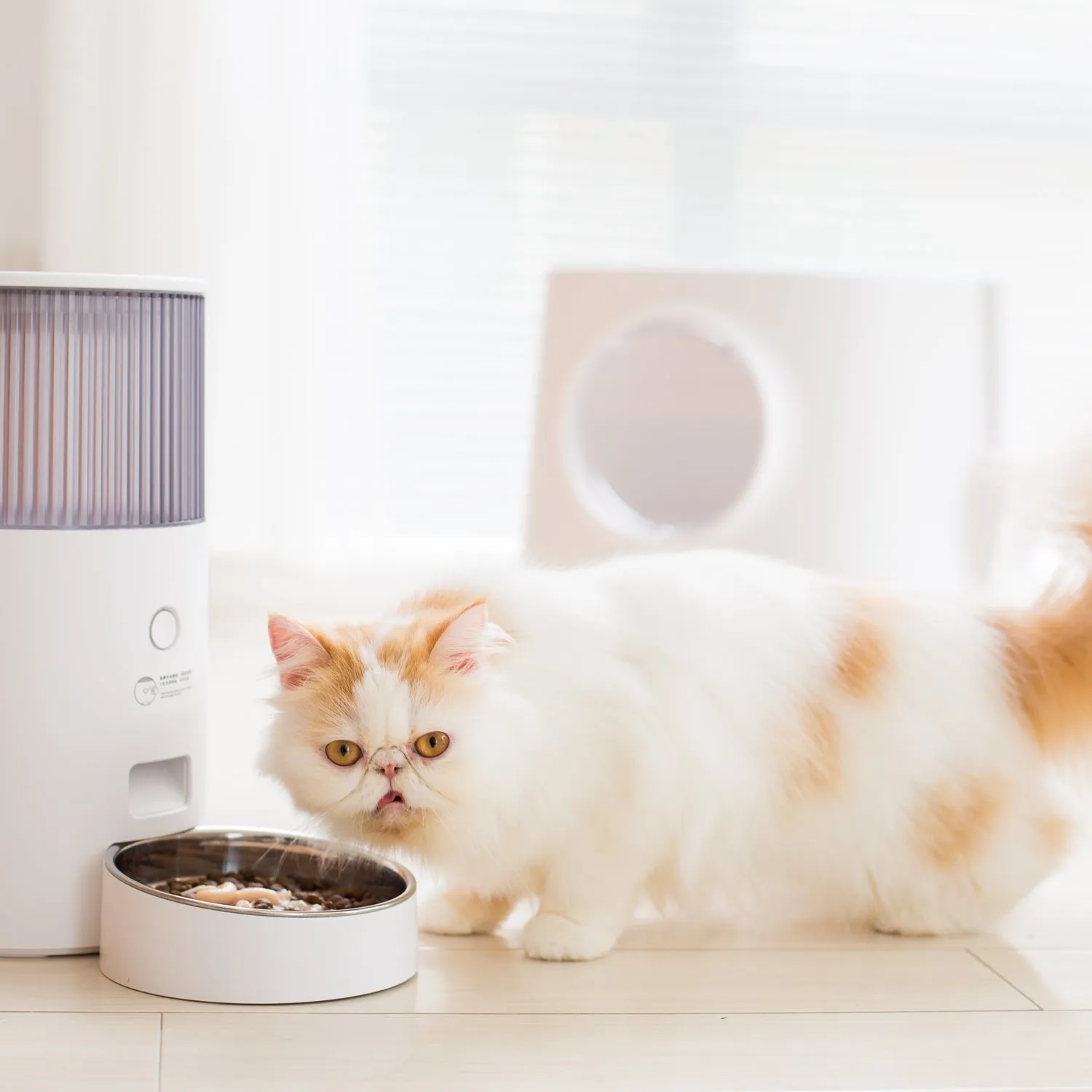 Mini Smart Pet Feeder