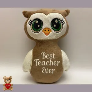 Personalised Owl Stuffed Toy Best Teacher Ever - Custom Gifts For Children