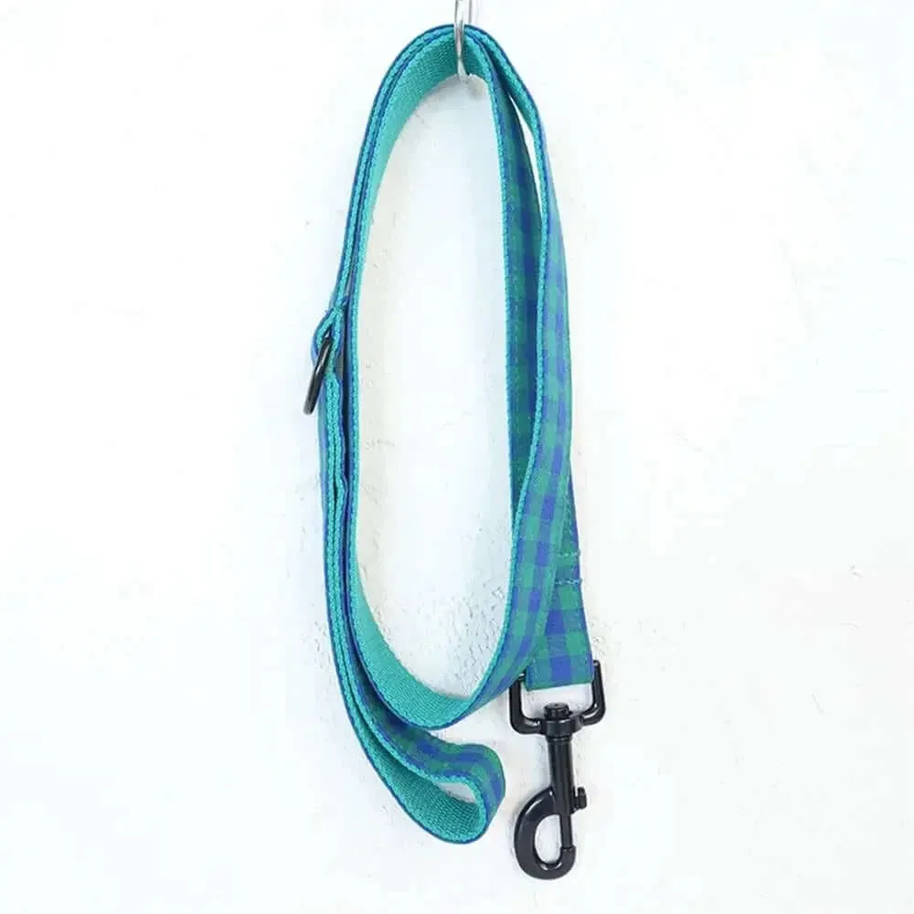 Personalized ID Tag Blue & Green Plaid Pet Collar & Leash