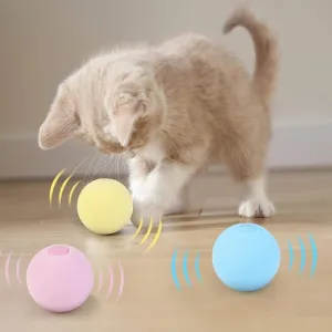 Pet Interactive Training Sound Ball