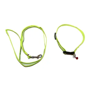 Shiny Reflective Leash AdjustableDog Collar Set with bell (width .5 inch) Small