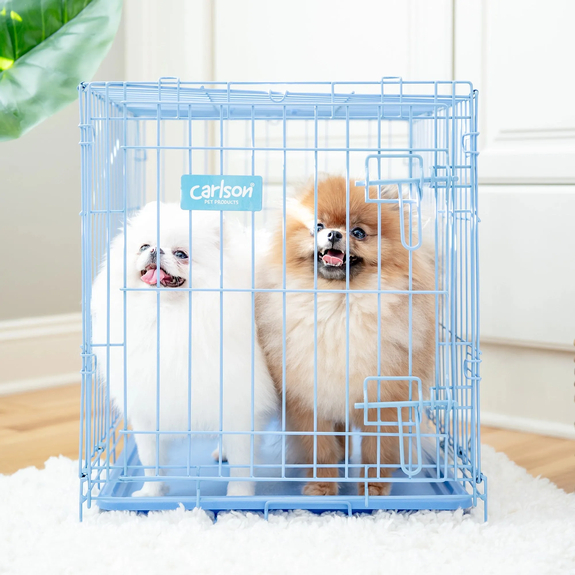 Small Single-Door Dog Crate