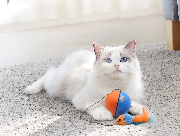 Smart Interactive Cat Toy Ball with Long Tail Teaser