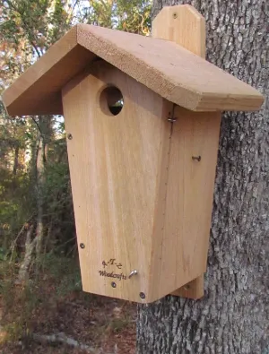 Viewing Bluebird Nestbox